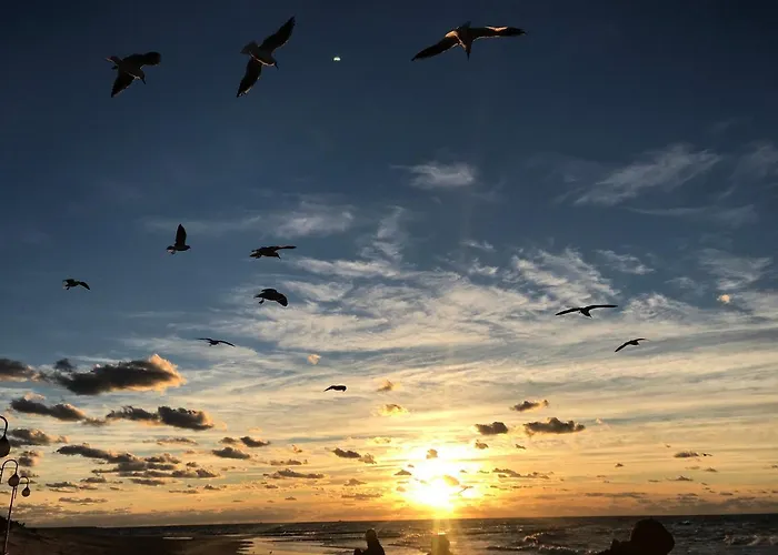 Apartament Marynarska 2 Rowy (Pomerania)